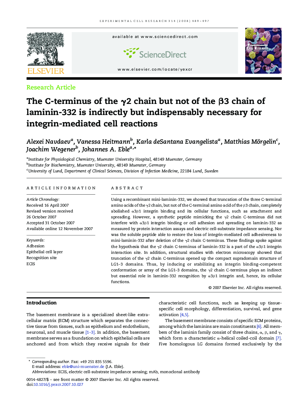 The C-terminus of the γ2 chain but not of the β3 chain of laminin-332 is indirectly but indispensably necessary for integrin-mediated cell reactions