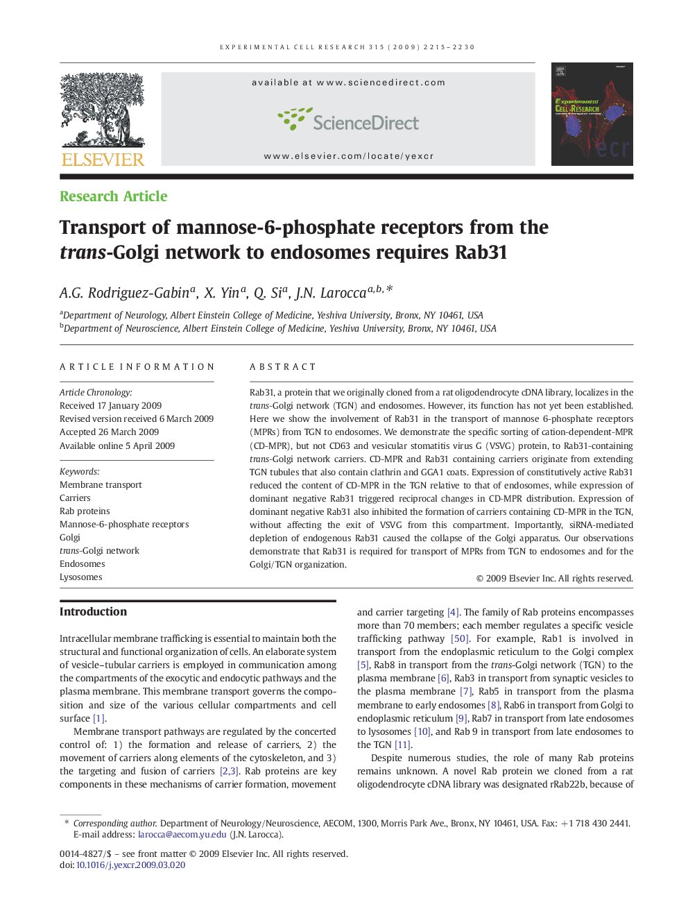 Transport of mannose-6-phosphate receptors from the trans-Golgi network to endosomes requires Rab31