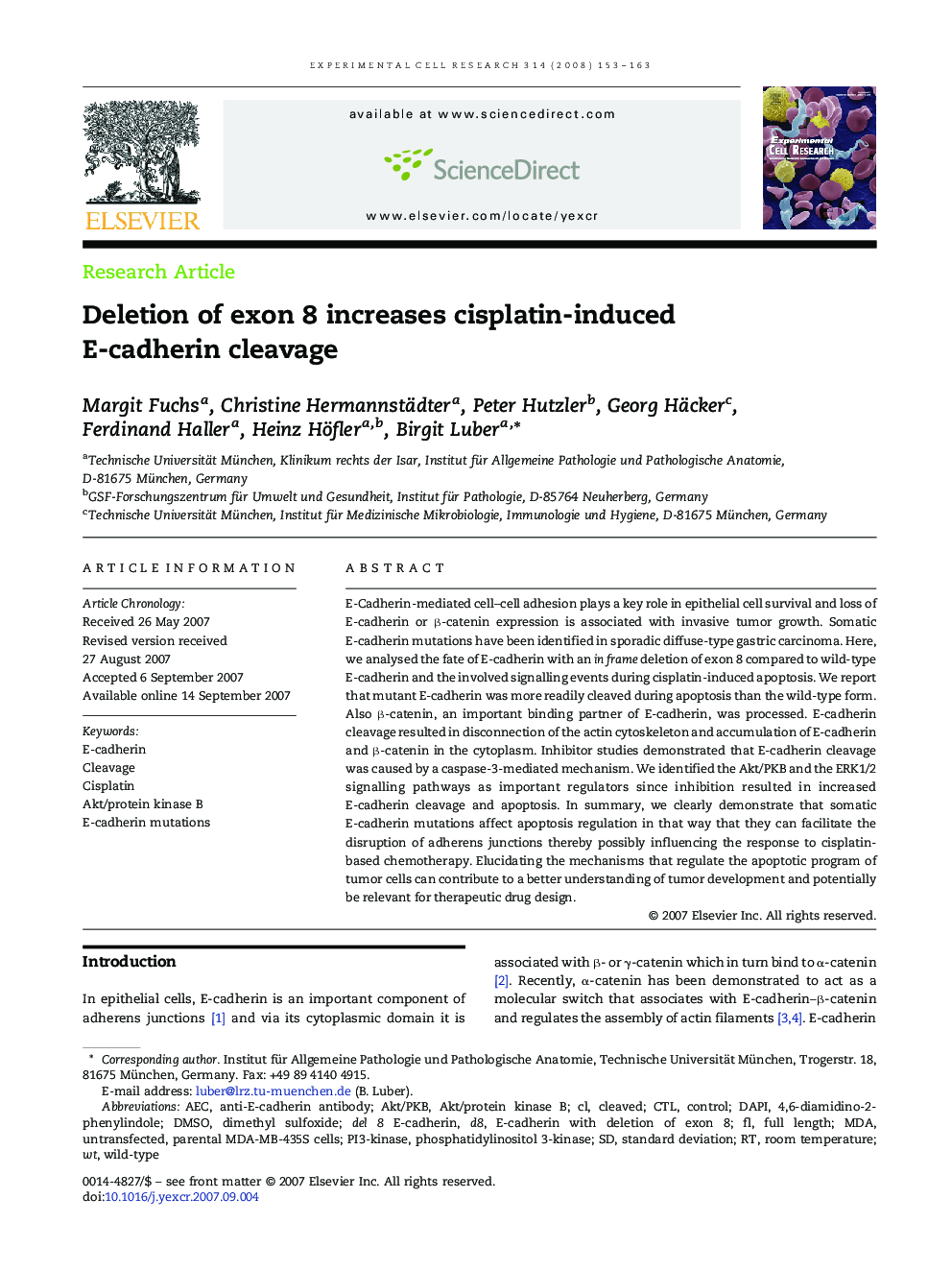 Deletion of exon 8 increases cisplatin-induced E-cadherin cleavage