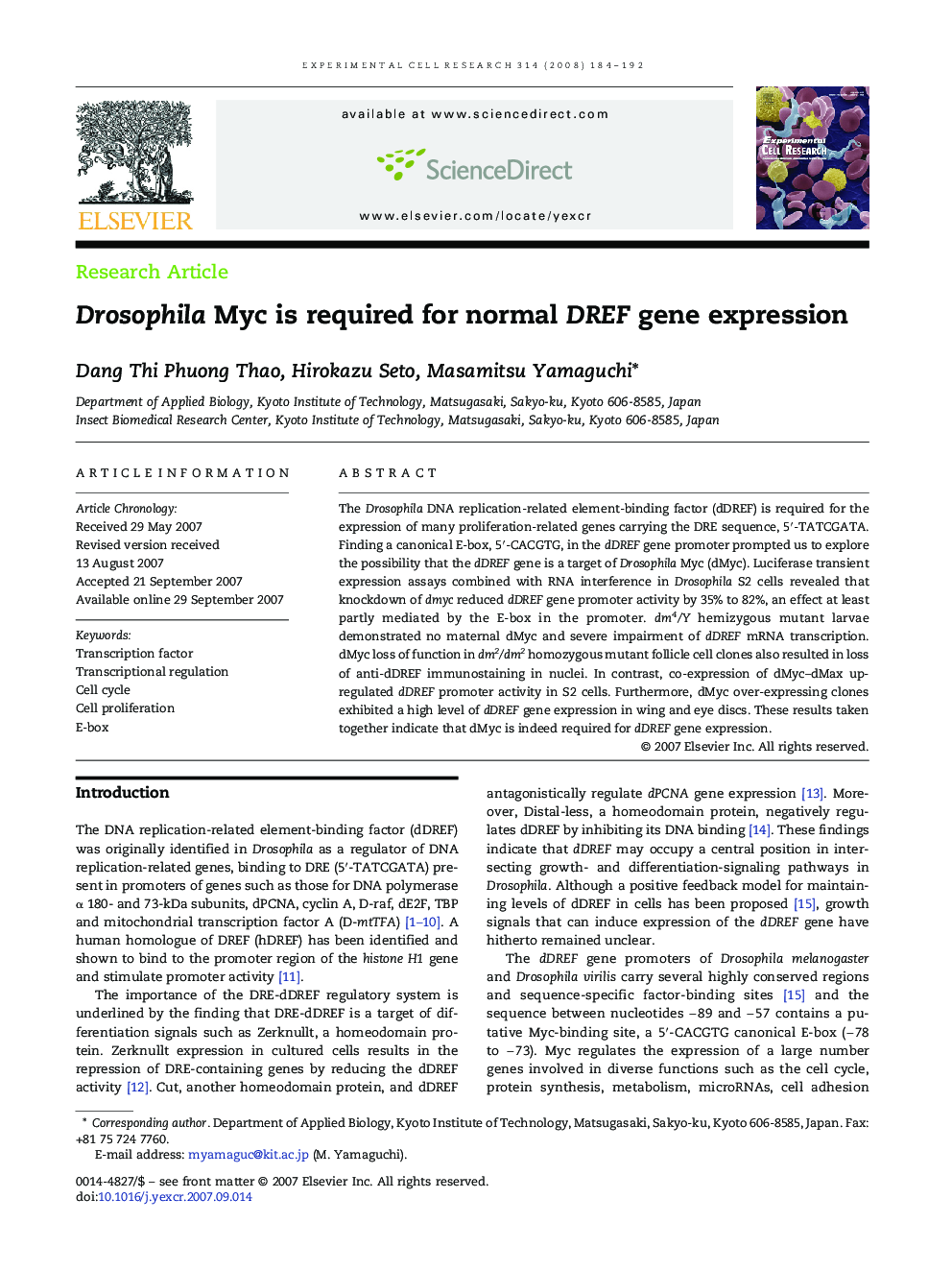 Drosophila Myc is required for normal DREF gene expression