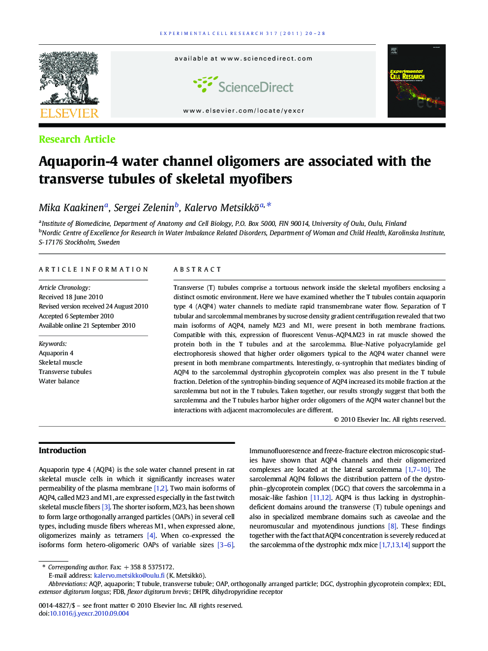 Aquaporin-4 water channel oligomers are associated with the transverse tubules of skeletal myofibers