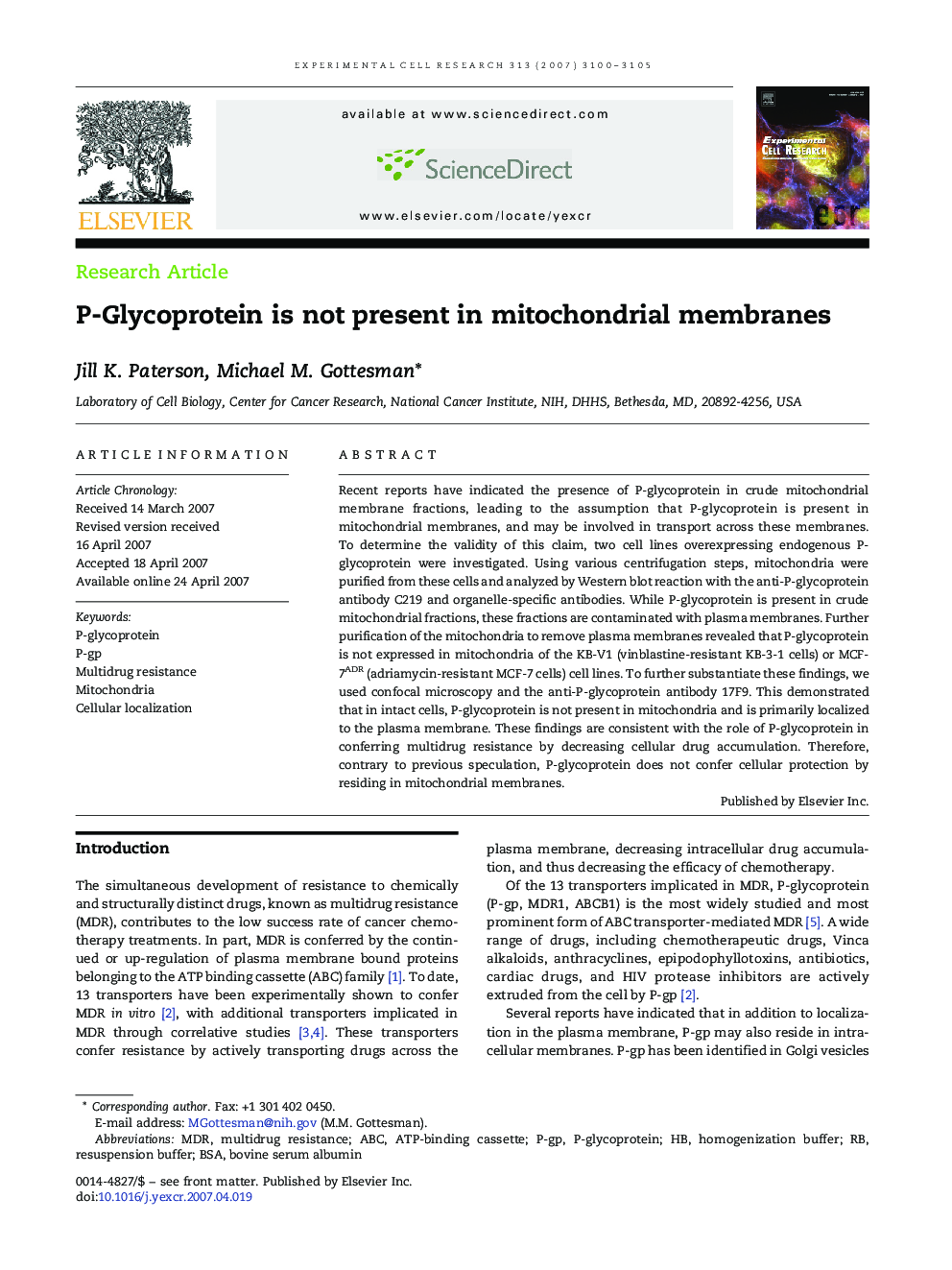 P-Glycoprotein is not present in mitochondrial membranes