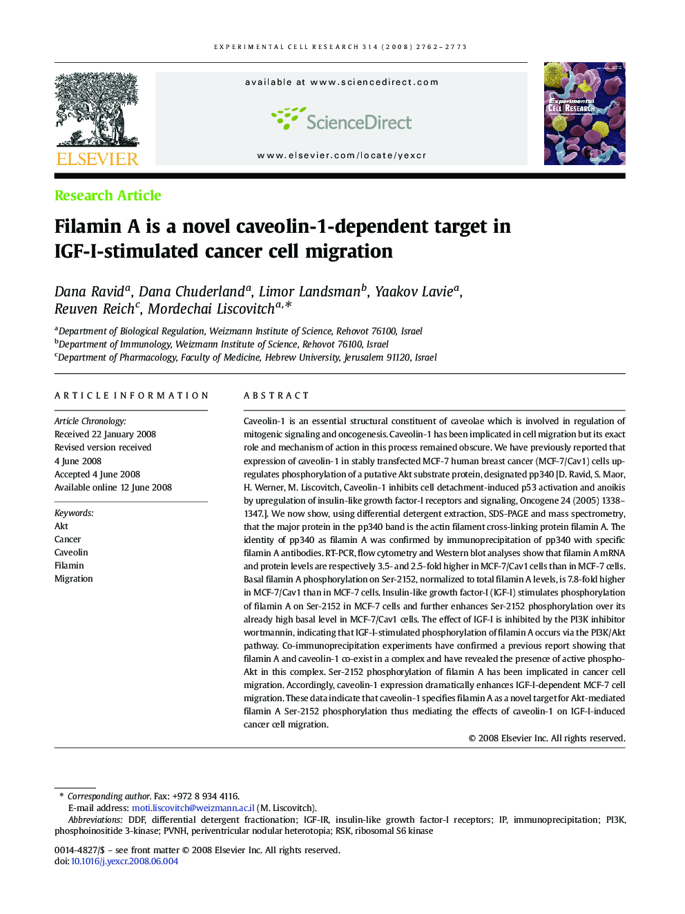 Filamin A is a novel caveolin-1-dependent target in IGF-I-stimulated cancer cell migration