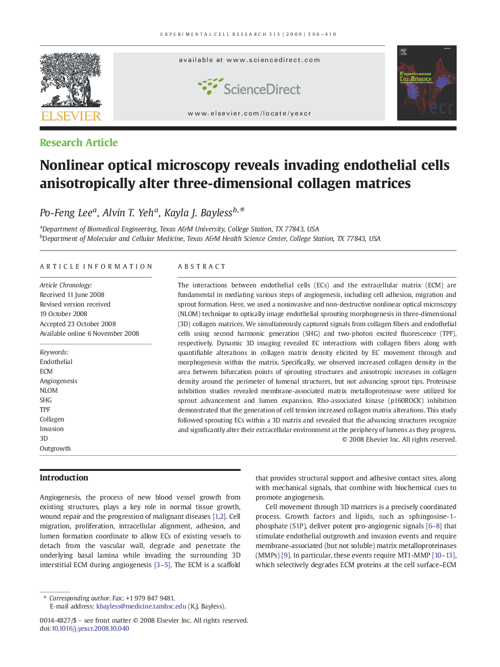 Nonlinear optical microscopy reveals invading endothelial cells anisotropically alter three-dimensional collagen matrices