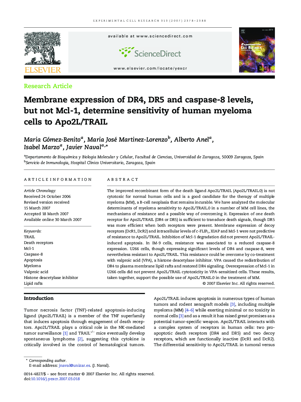 Membrane expression of DR4, DR5 and caspase-8 levels, but not Mcl-1, determine sensitivity of human myeloma cells to Apo2L/TRAIL