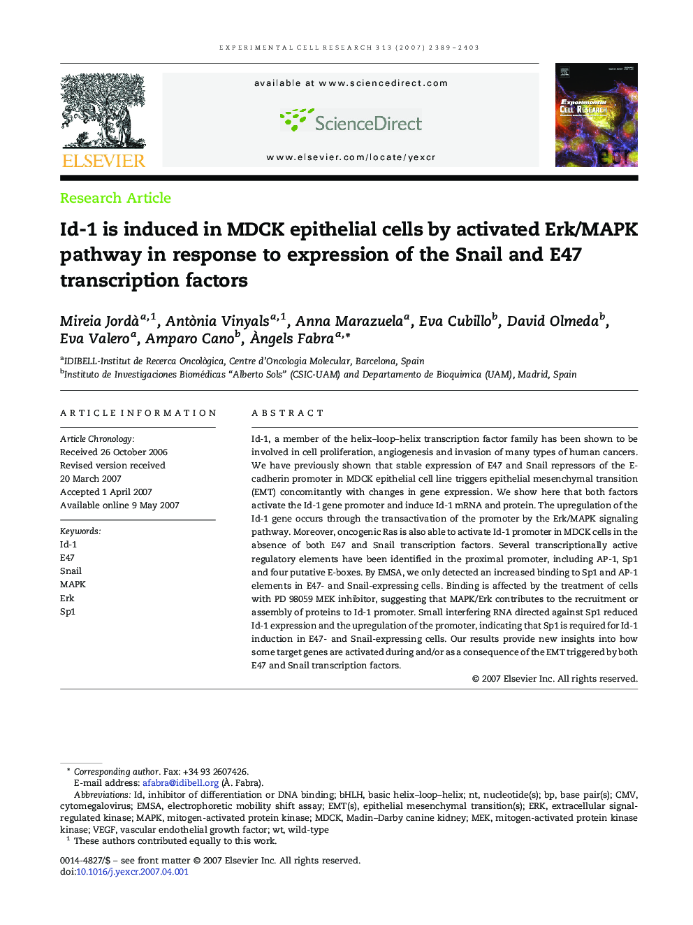 Id-1 is induced in MDCK epithelial cells by activated Erk/MAPK pathway in response to expression of the Snail and E47 transcription factors