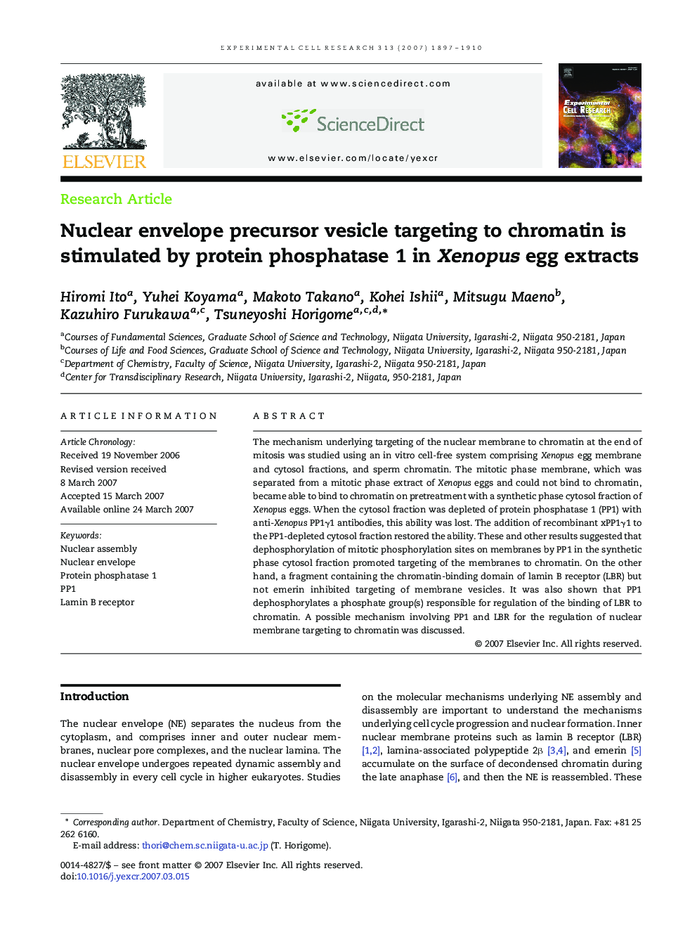 Nuclear envelope precursor vesicle targeting to chromatin is stimulated by protein phosphatase 1 in Xenopus egg extracts