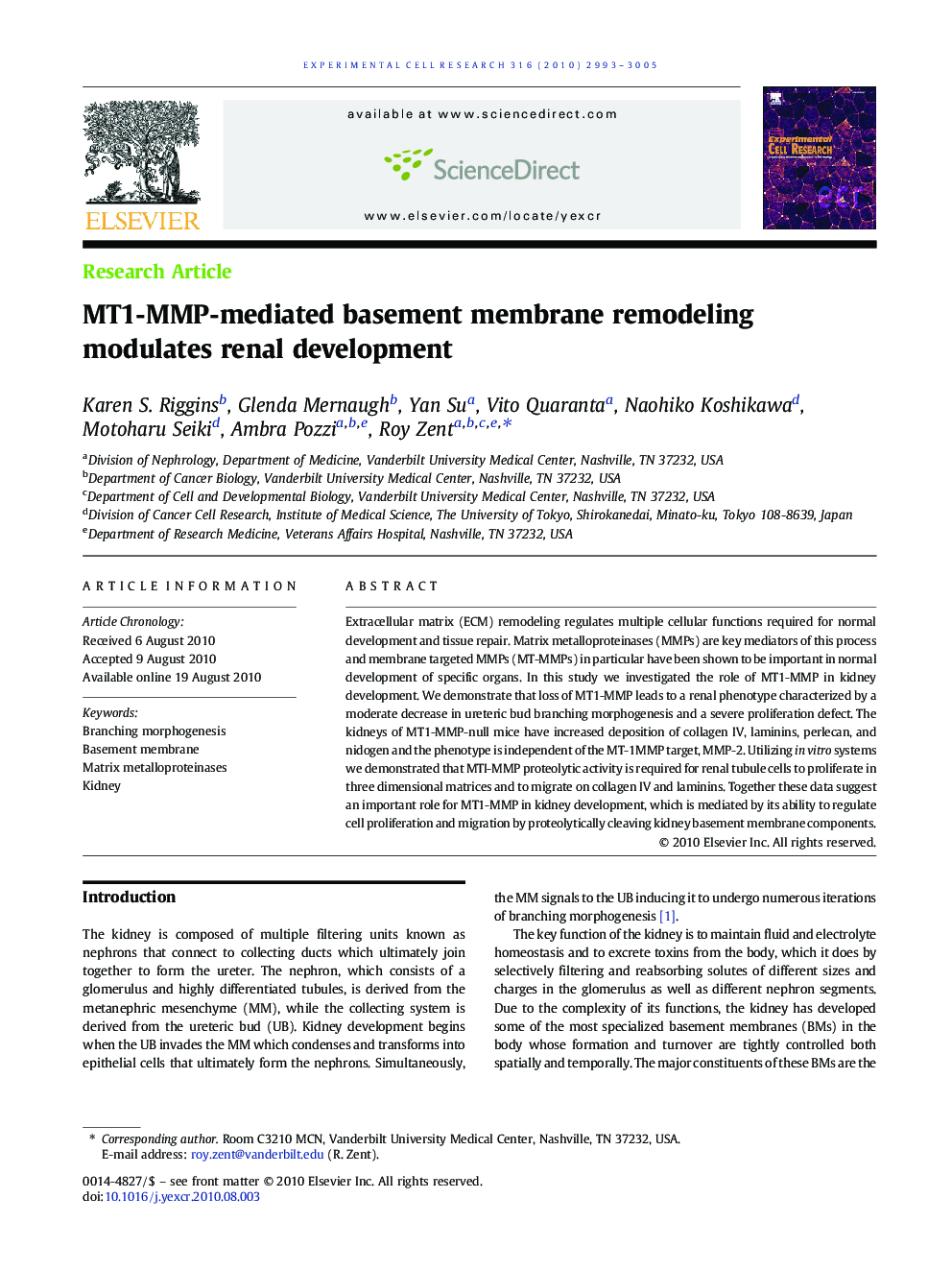 MT1-MMP-mediated basement membrane remodeling modulates renal development