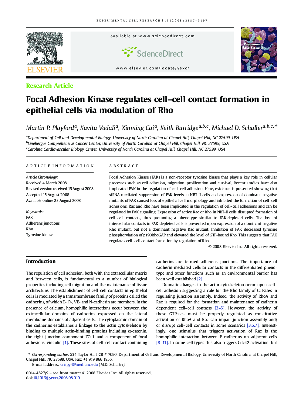Focal Adhesion Kinase regulates cell–cell contact formation in epithelial cells via modulation of Rho