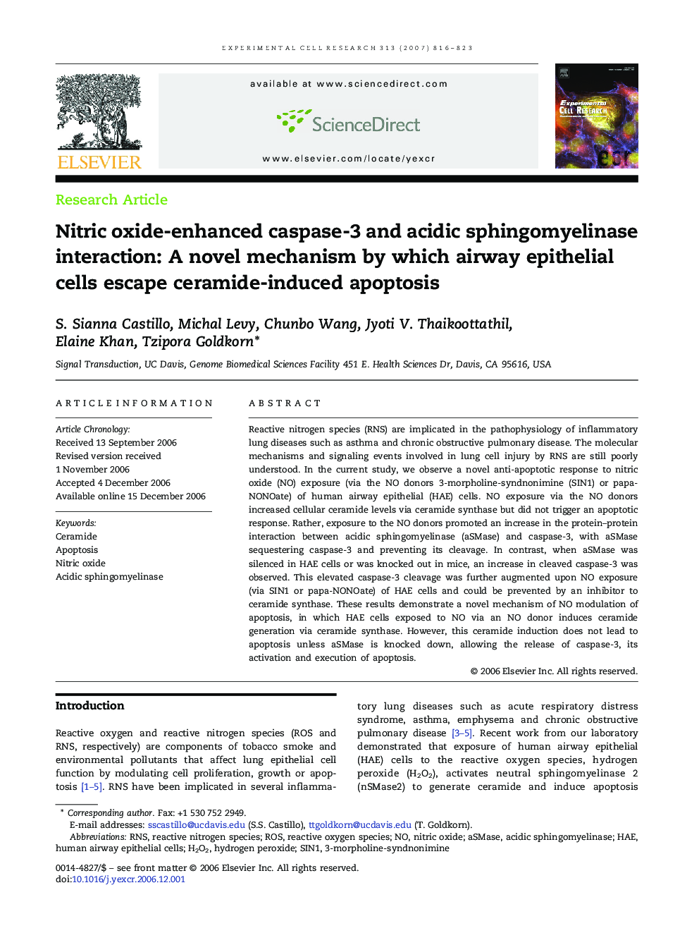 Nitric oxide-enhanced caspase-3 and acidic sphingomyelinase interaction: A novel mechanism by which airway epithelial cells escape ceramide-induced apoptosis