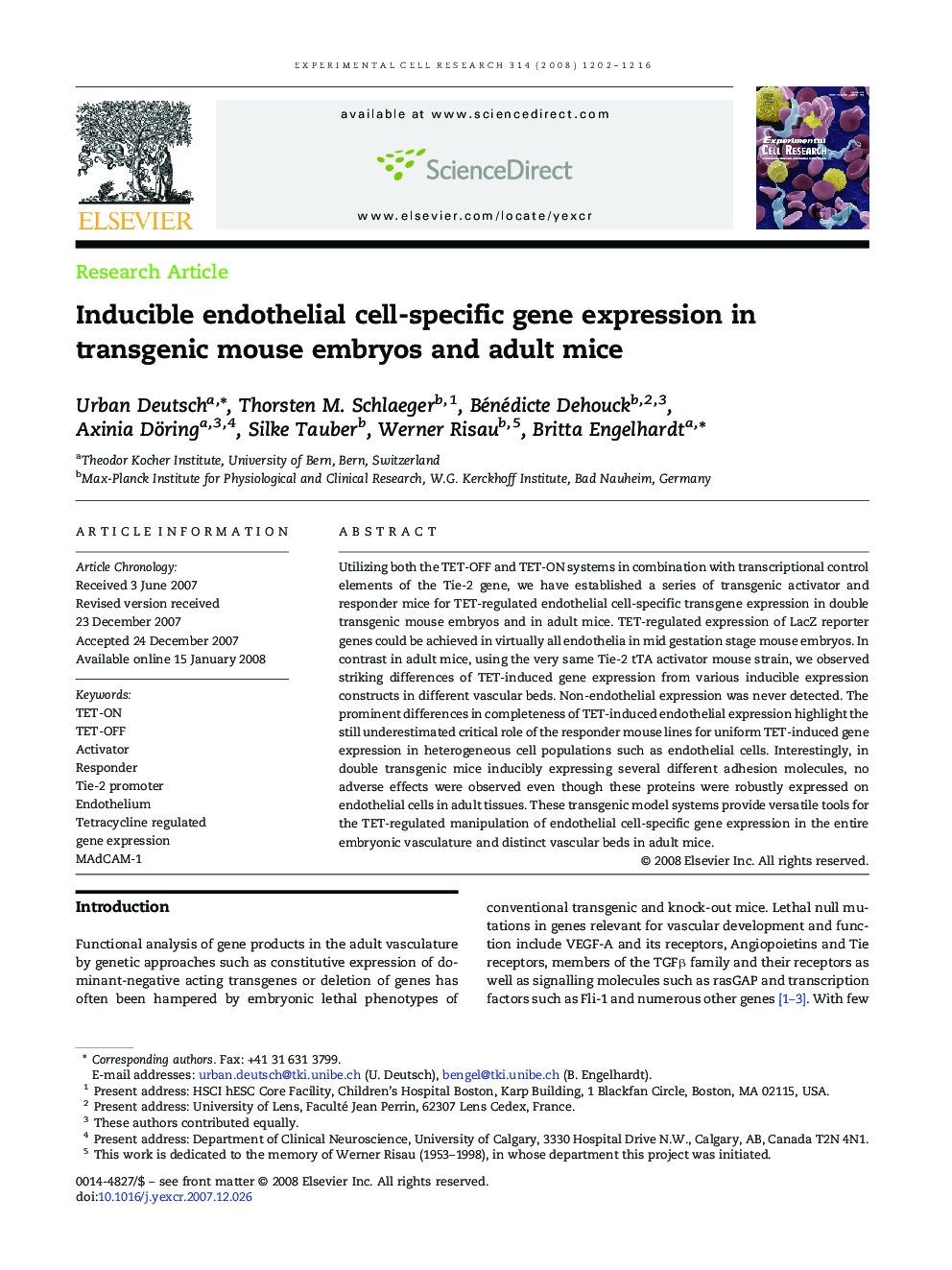 Inducible endothelial cell-specific gene expression in transgenic mouse embryos and adult mice