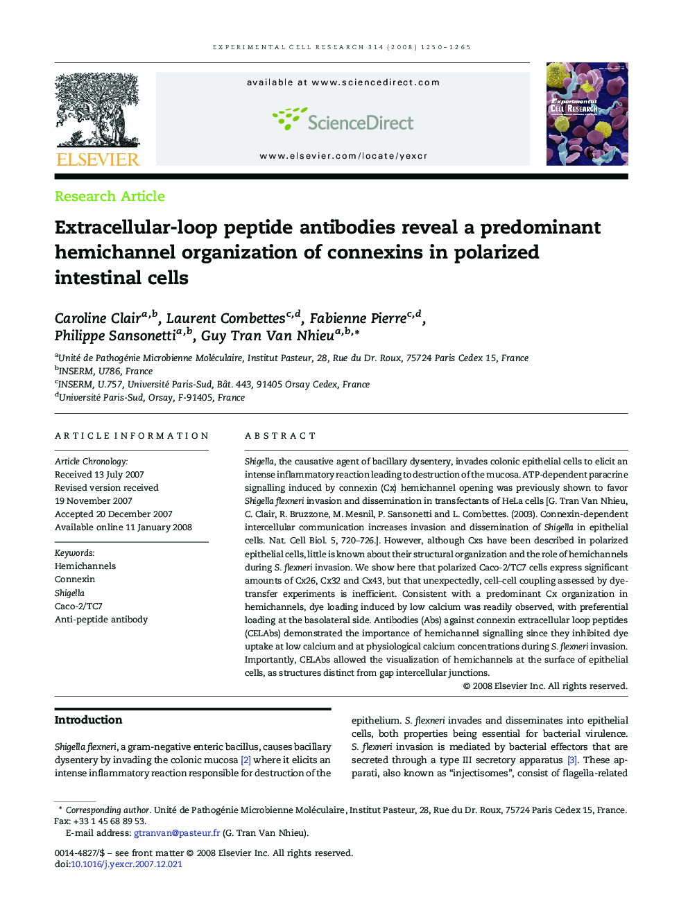 Extracellular-loop peptide antibodies reveal a predominant hemichannel organization of connexins in polarized intestinal cells