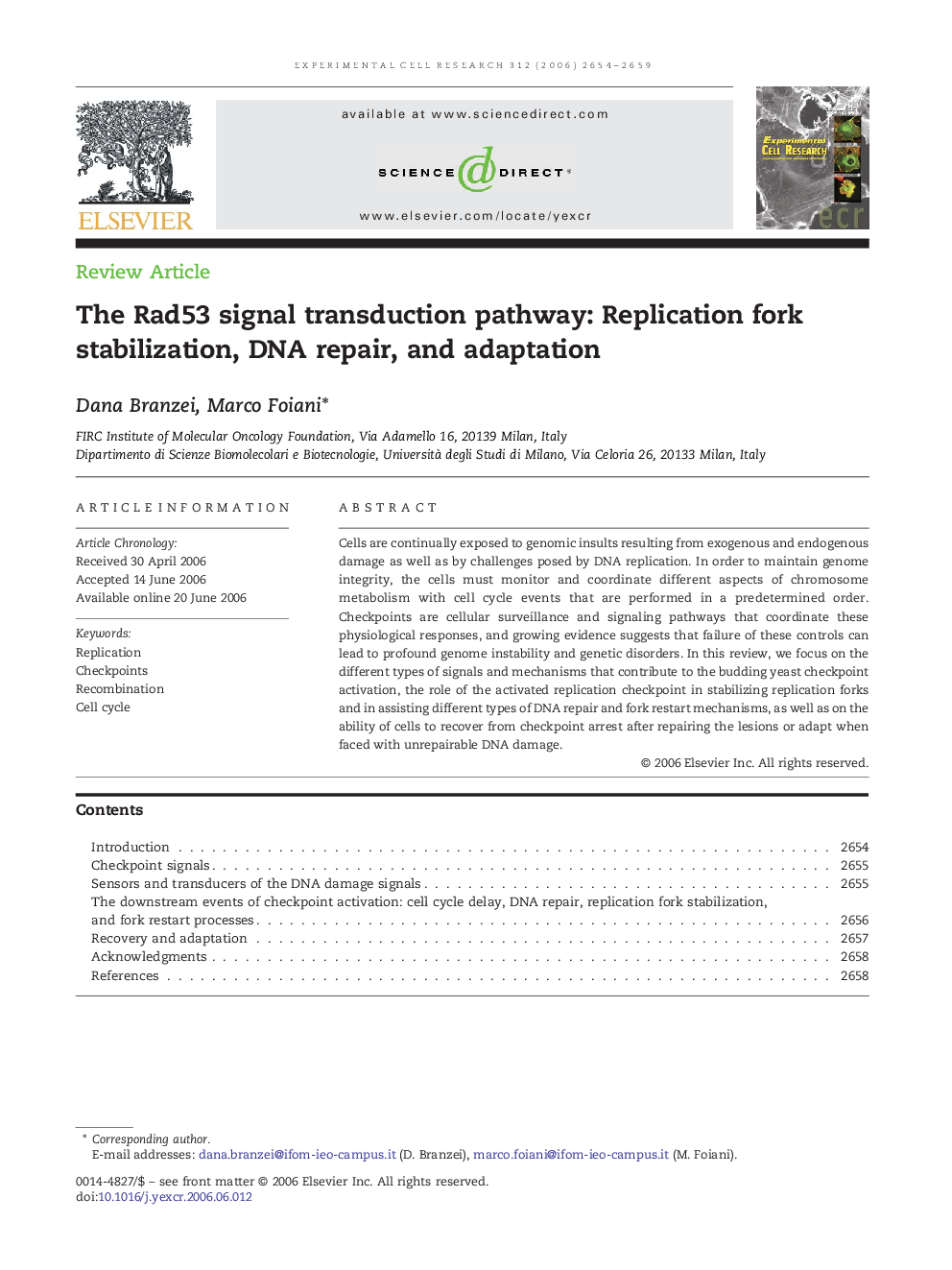 The Rad53 signal transduction pathway: Replication fork stabilization, DNA repair, and adaptation