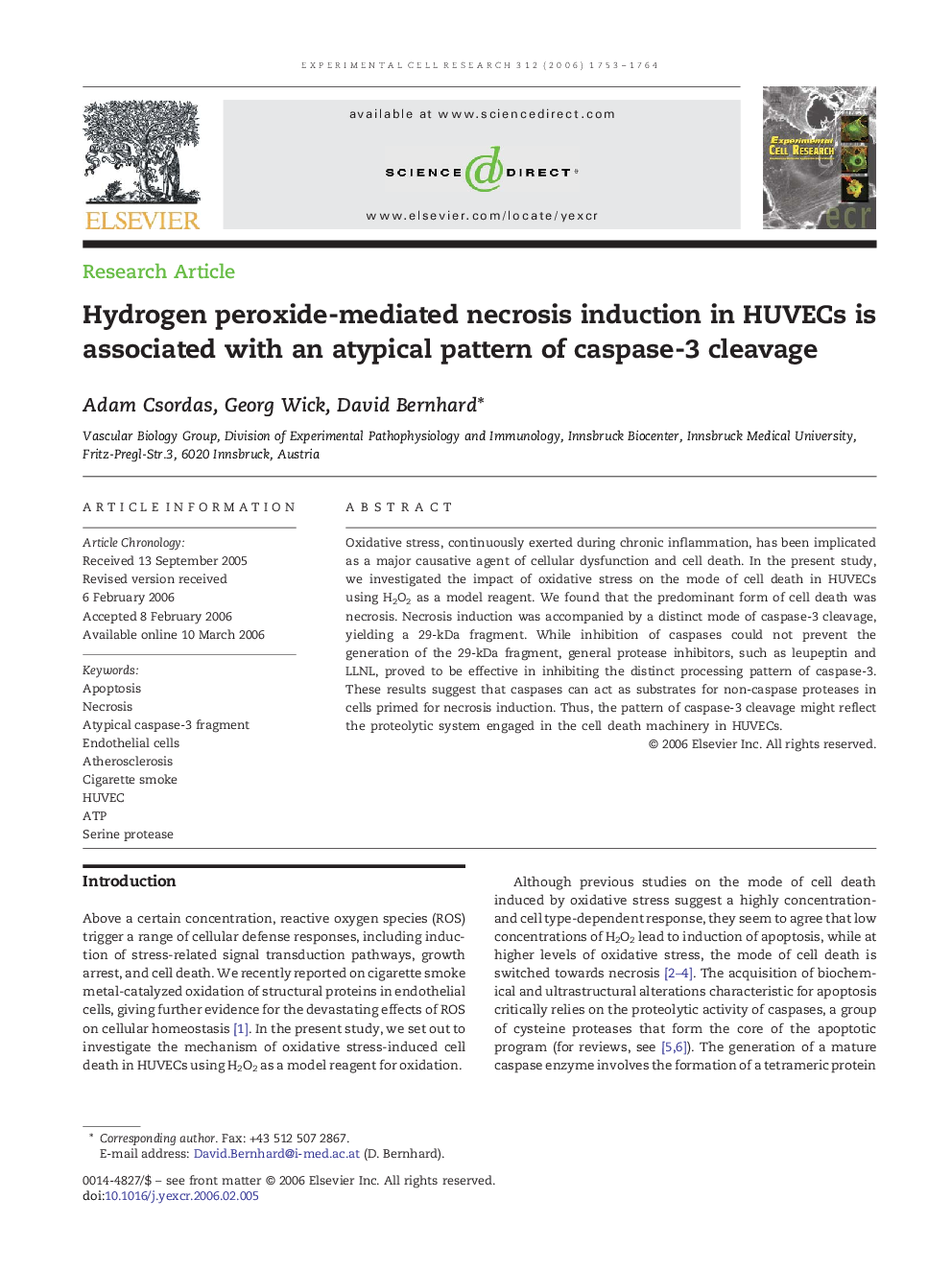 Hydrogen peroxide-mediated necrosis induction in HUVECs is associated with an atypical pattern of caspase-3 cleavage