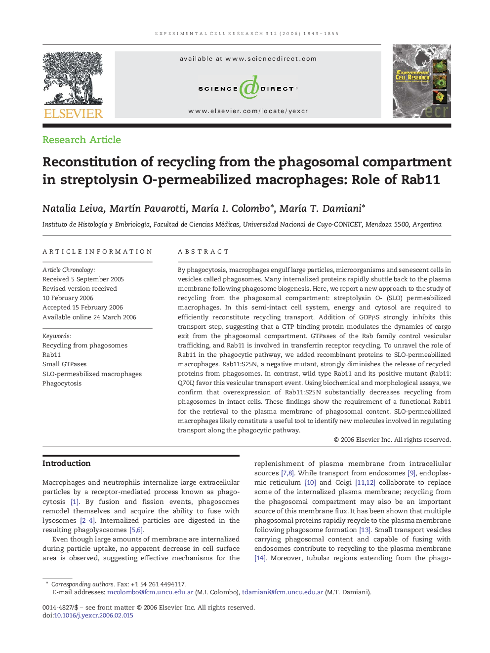 Reconstitution of recycling from the phagosomal compartment in streptolysin O-permeabilized macrophages: Role of Rab11