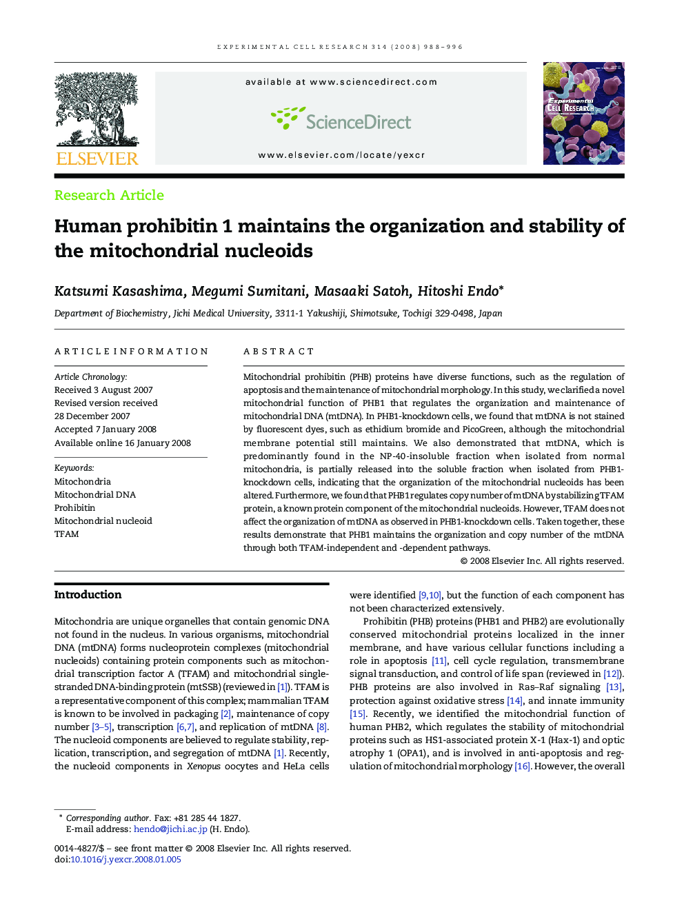 Human prohibitin 1 maintains the organization and stability of the mitochondrial nucleoids