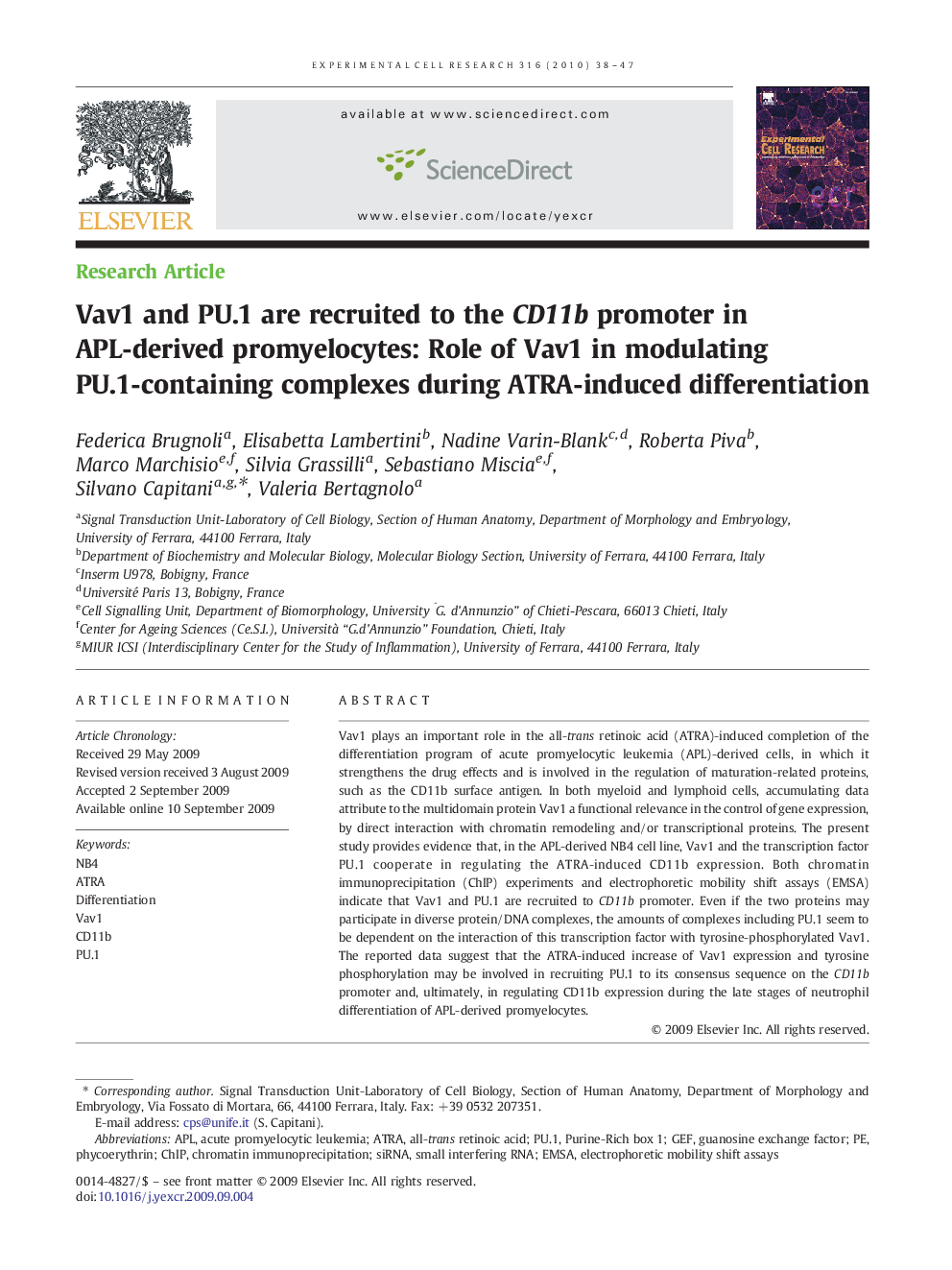 Vav1 and PU.1 are recruited to the CD11b promoter in APL-derived promyelocytes: Role of Vav1 in modulating PU.1-containing complexes during ATRA-induced differentiation