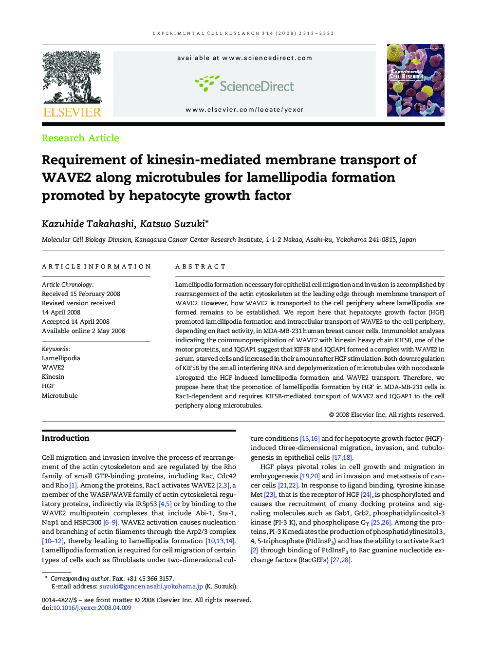 Requirement of kinesin-mediated membrane transport of WAVE2 along microtubules for lamellipodia formation promoted by hepatocyte growth factor