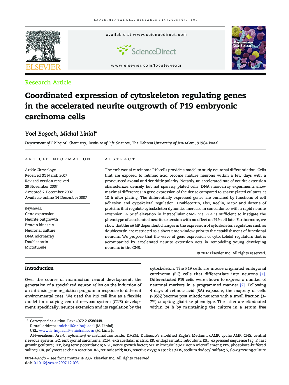 Coordinated expression of cytoskeleton regulating genes in the accelerated neurite outgrowth of P19 embryonic carcinoma cells