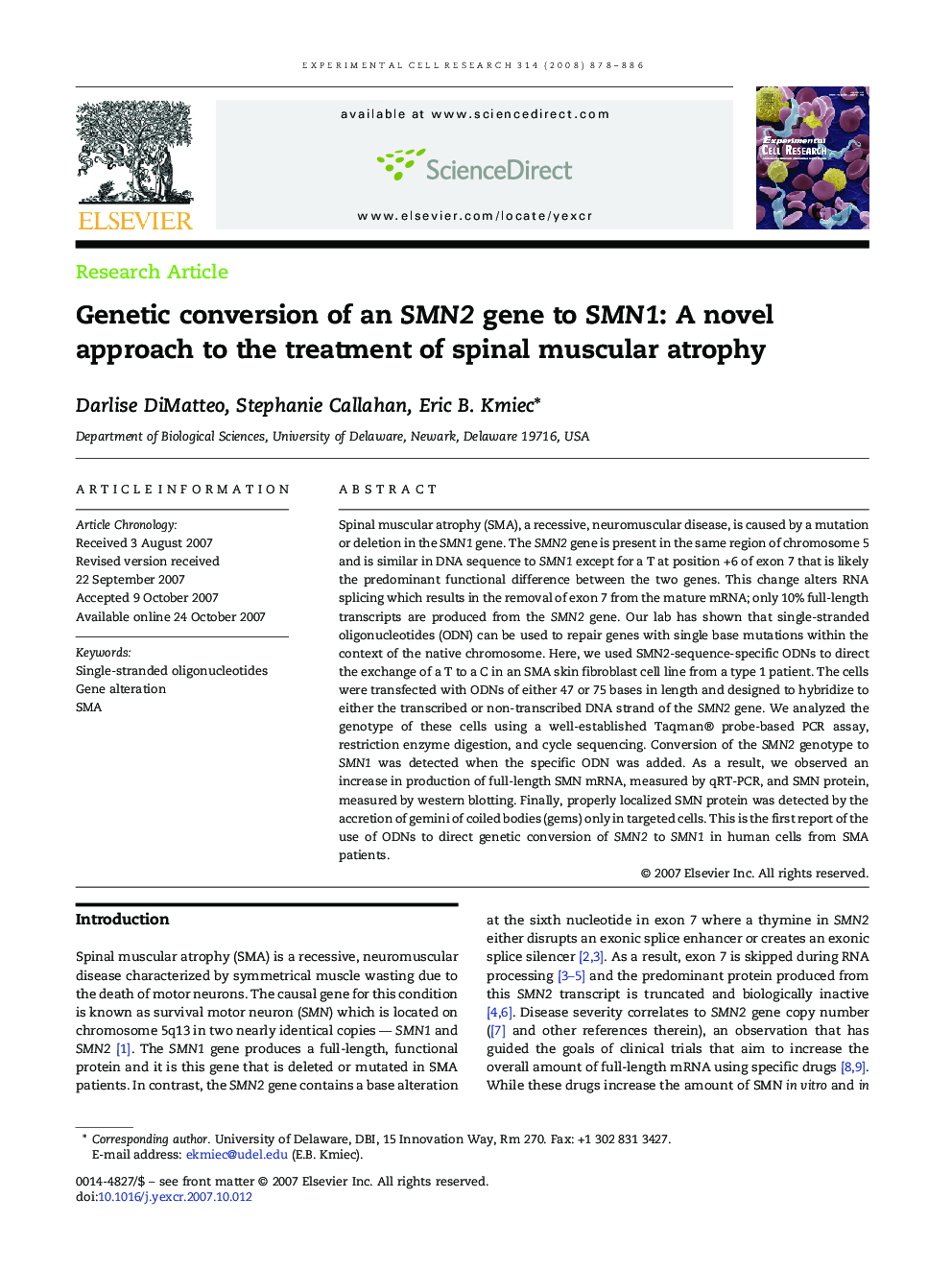 Genetic conversion of an SMN2 gene to SMN1: A novel approach to the treatment of spinal muscular atrophy