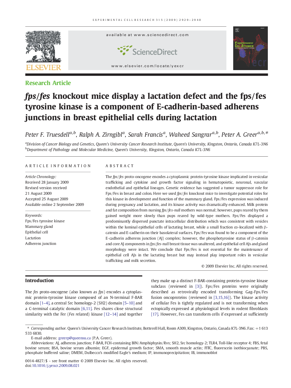 fps/fes knockout mice display a lactation defect and the fps/fes tyrosine kinase is a component of E-cadherin-based adherens junctions in breast epithelial cells during lactation