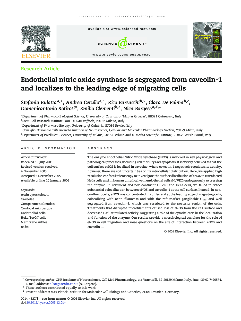 Endothelial nitric oxide synthase is segregated from caveolin-1 and localizes to the leading edge of migrating cells