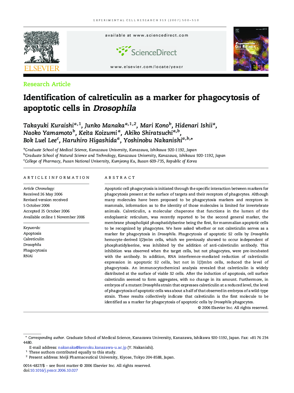 Identification of calreticulin as a marker for phagocytosis of apoptotic cells in Drosophila