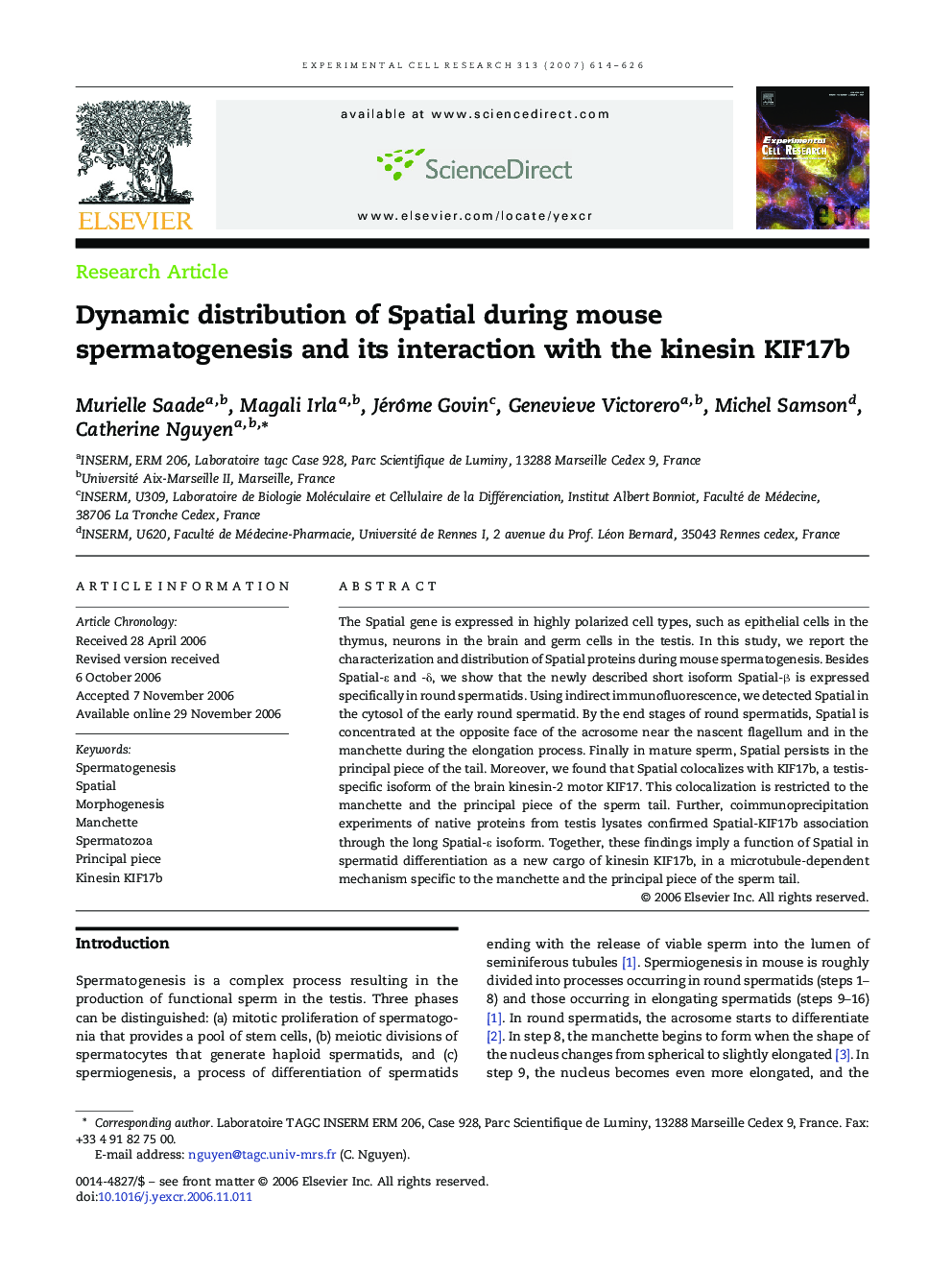 Dynamic distribution of Spatial during mouse spermatogenesis and its interaction with the kinesin KIF17b