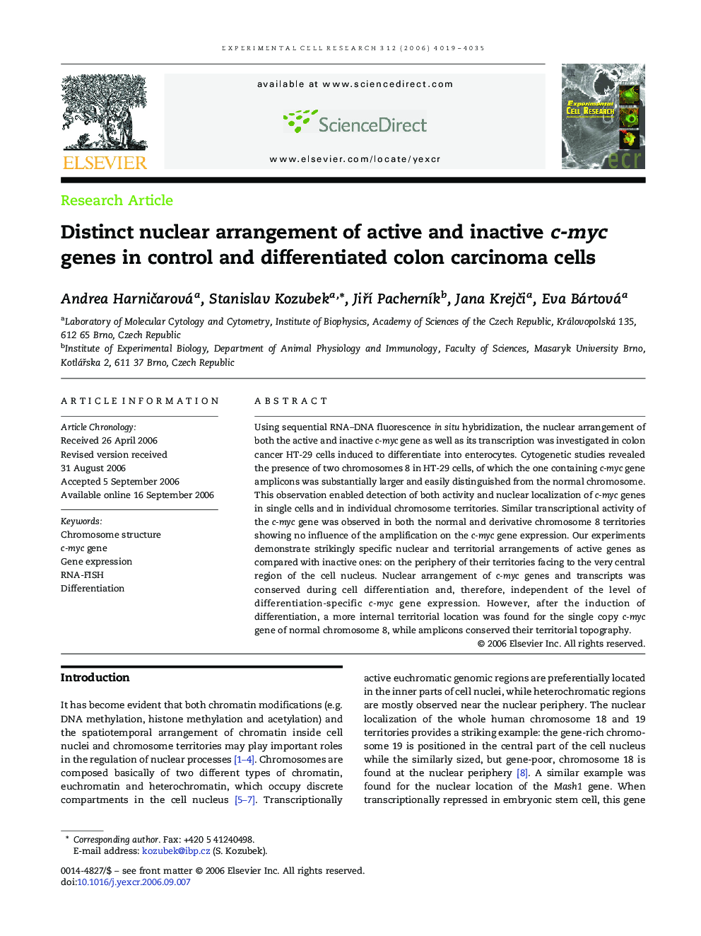 Distinct nuclear arrangement of active and inactive c-myc genes in control and differentiated colon carcinoma cells