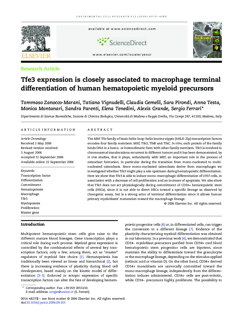 Tfe3 expression is closely associated to macrophage terminal differentiation of human hematopoietic myeloid precursors