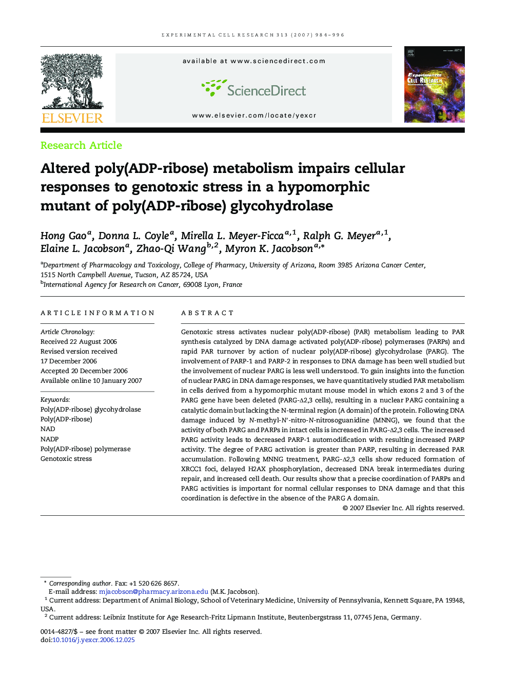 Altered poly(ADP-ribose) metabolism impairs cellular responses to genotoxic stress in a hypomorphic mutant of poly(ADP-ribose) glycohydrolase