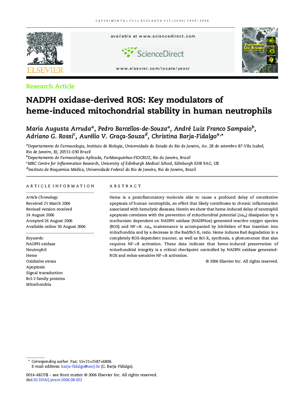 NADPH oxidase-derived ROS: Key modulators of heme-induced mitochondrial stability in human neutrophils