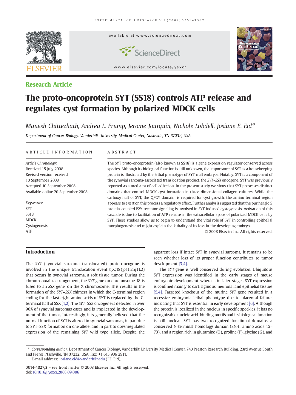 The proto-oncoprotein SYT (SS18) controls ATP release and regulates cyst formation by polarized MDCK cells