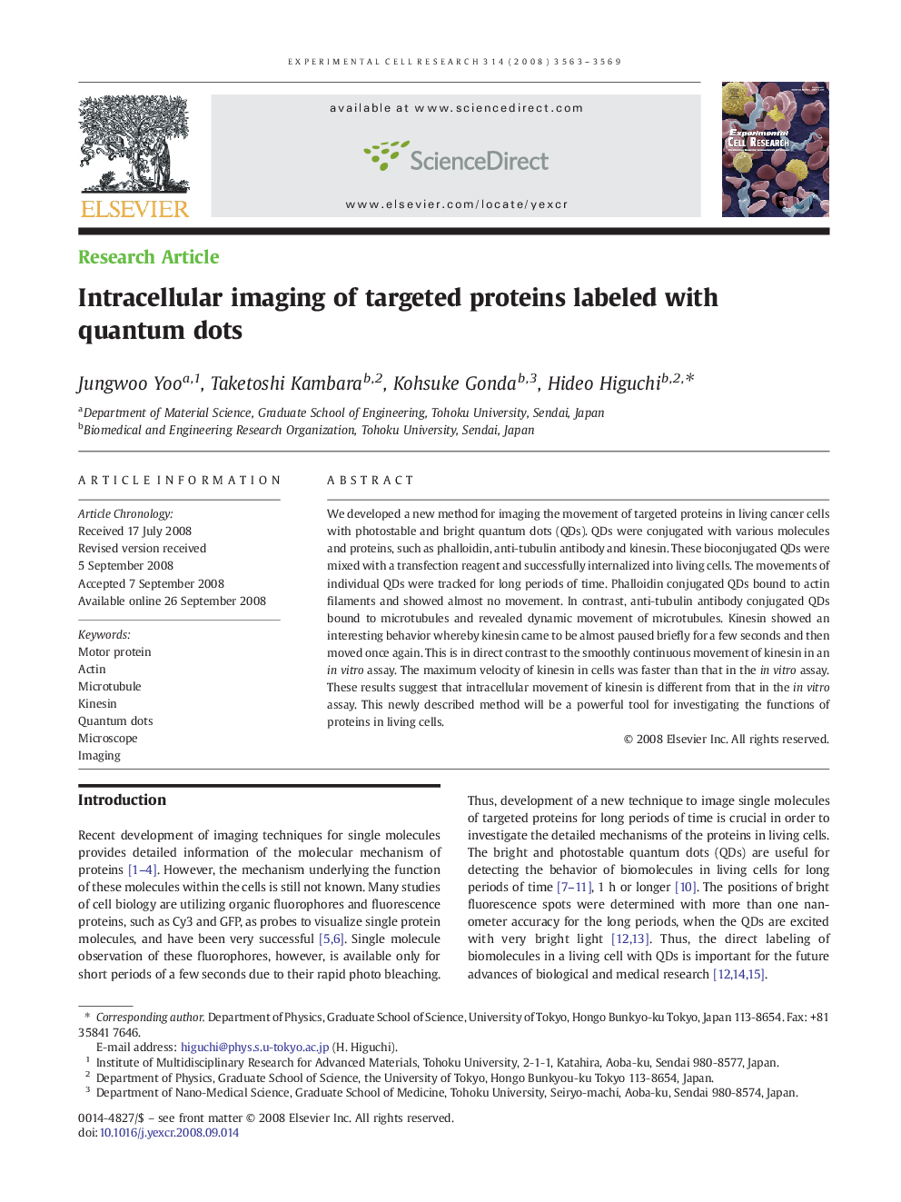 Intracellular imaging of targeted proteins labeled with quantum dots