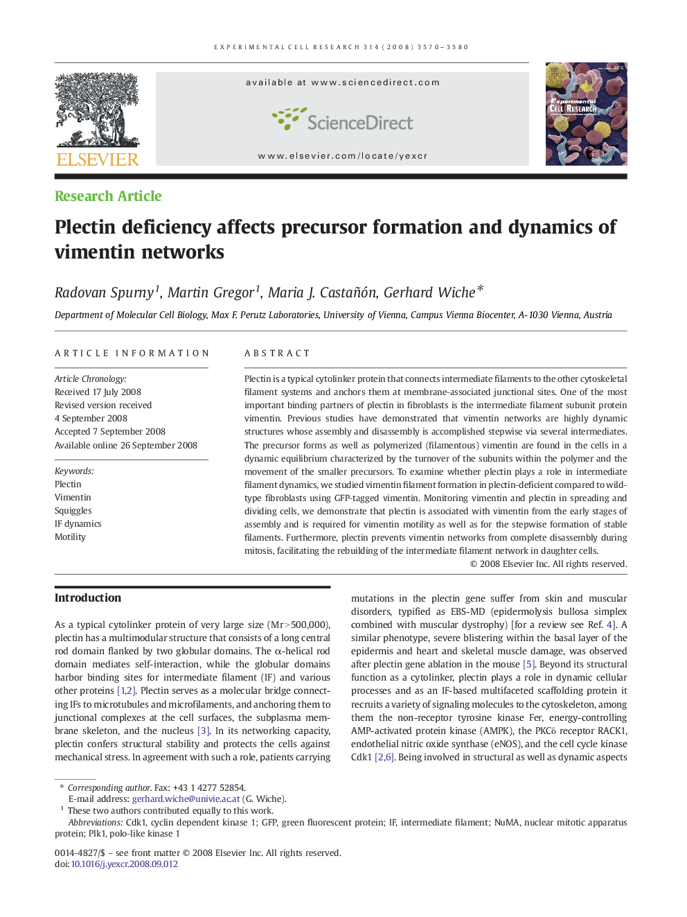 Plectin deficiency affects precursor formation and dynamics of vimentin networks