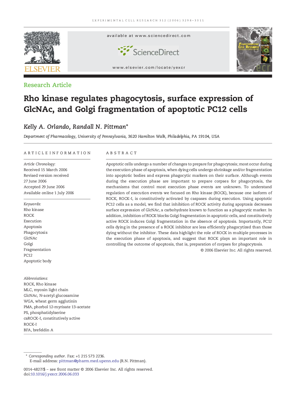 Rho kinase regulates phagocytosis, surface expression of GlcNAc, and Golgi fragmentation of apoptotic PC12 cells