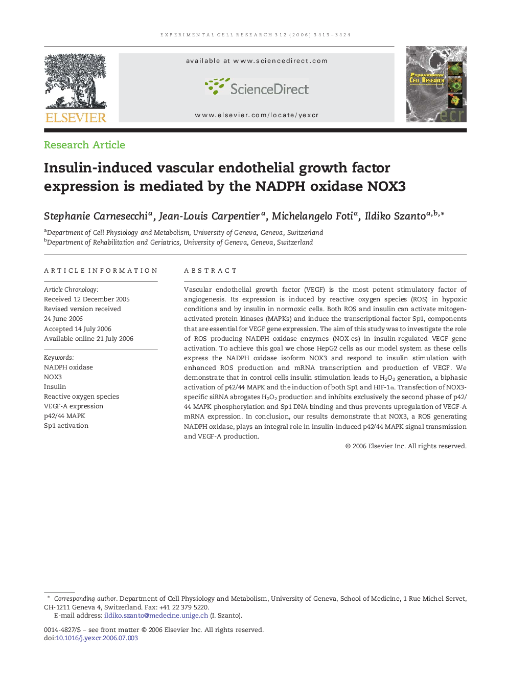 Insulin-induced vascular endothelial growth factor expression is mediated by the NADPH oxidase NOX3