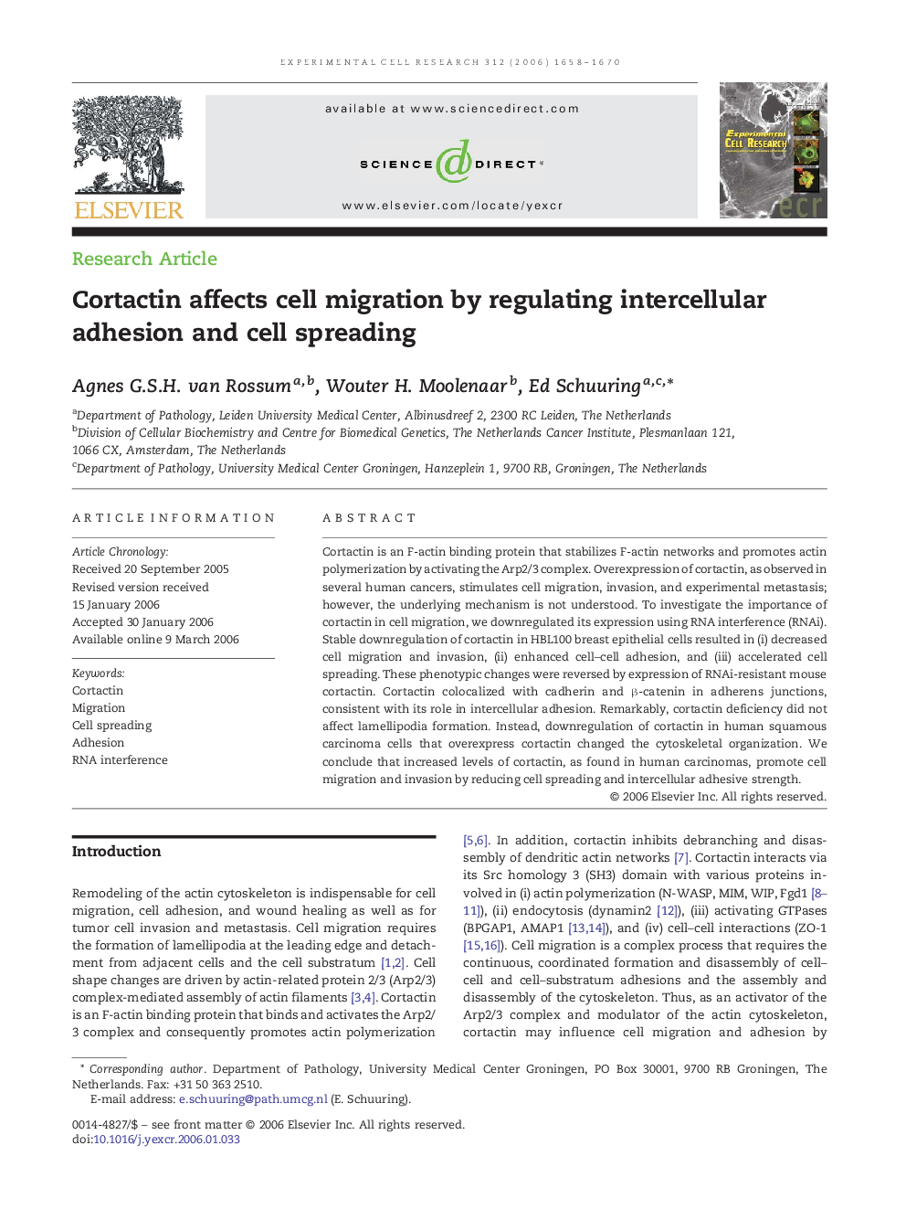 Cortactin affects cell migration by regulating intercellular adhesion and cell spreading