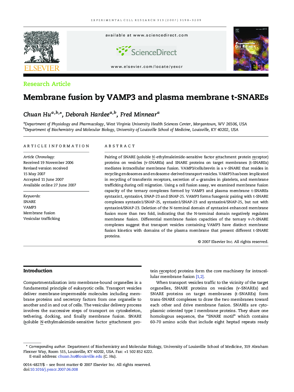 Membrane fusion by VAMP3 and plasma membrane t-SNAREs