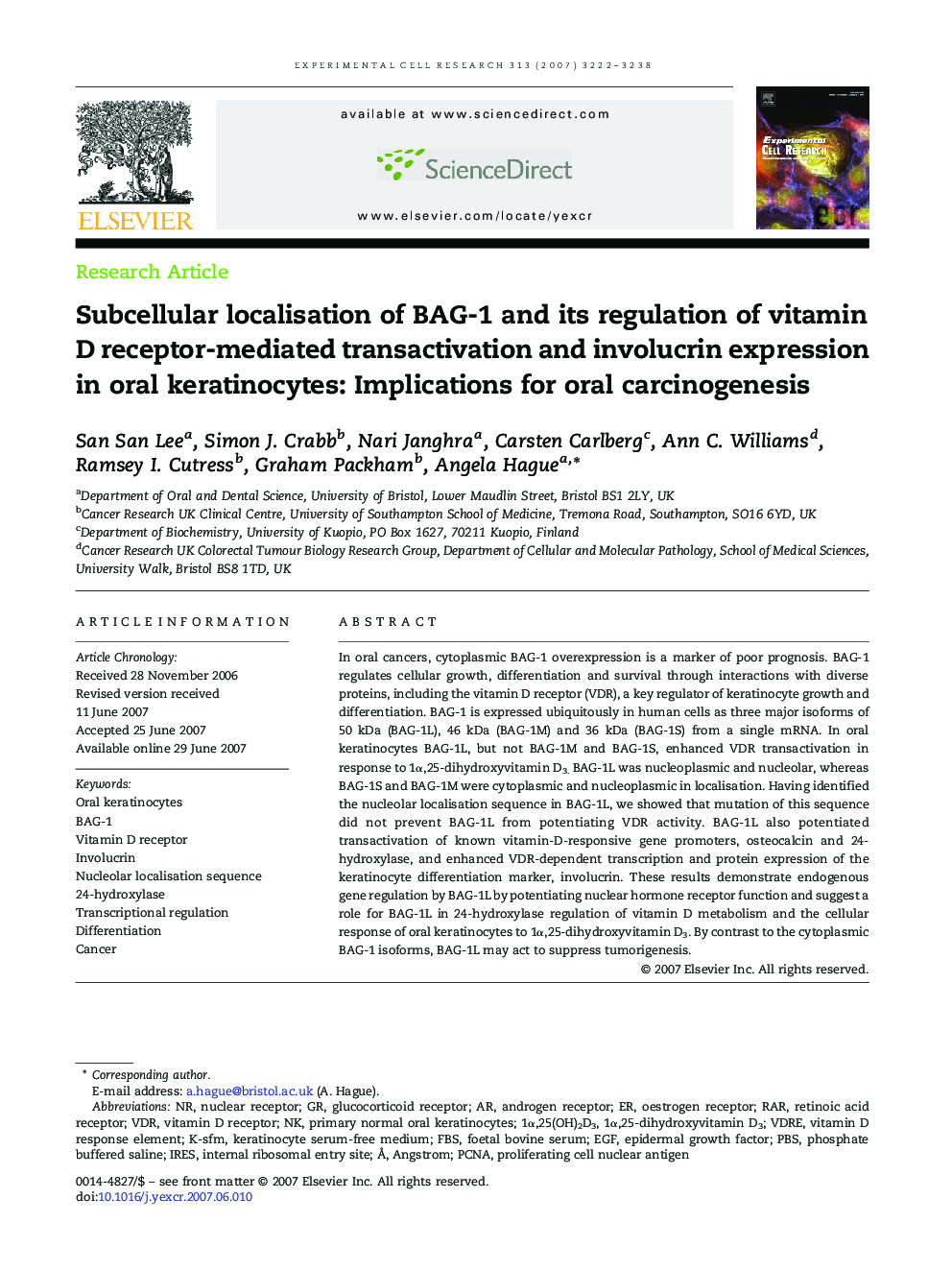 Subcellular localisation of BAG-1 and its regulation of vitamin D receptor-mediated transactivation and involucrin expression in oral keratinocytes: Implications for oral carcinogenesis