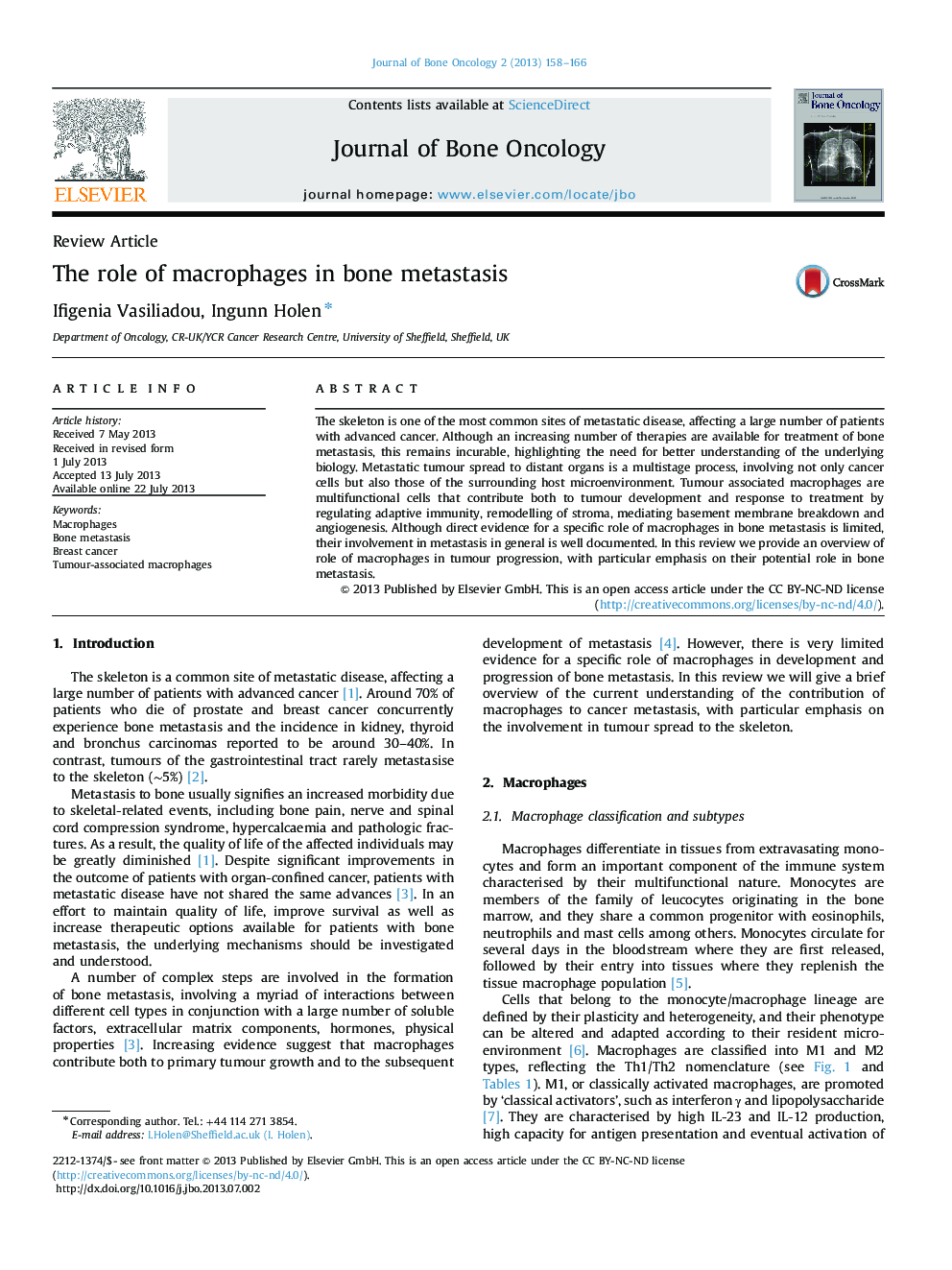 The role of macrophages in bone metastasis