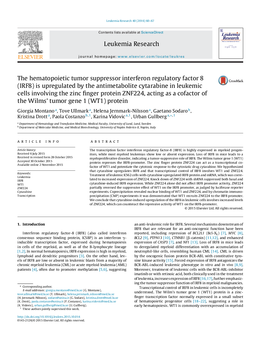 The hematopoietic tumor suppressor interferon regulatory factor 8 (IRF8) is upregulated by the antimetabolite cytarabine in leukemic cells involving the zinc finger protein ZNF224, acting as a cofactor of the Wilms’ tumor gene 1 (WT1) protein