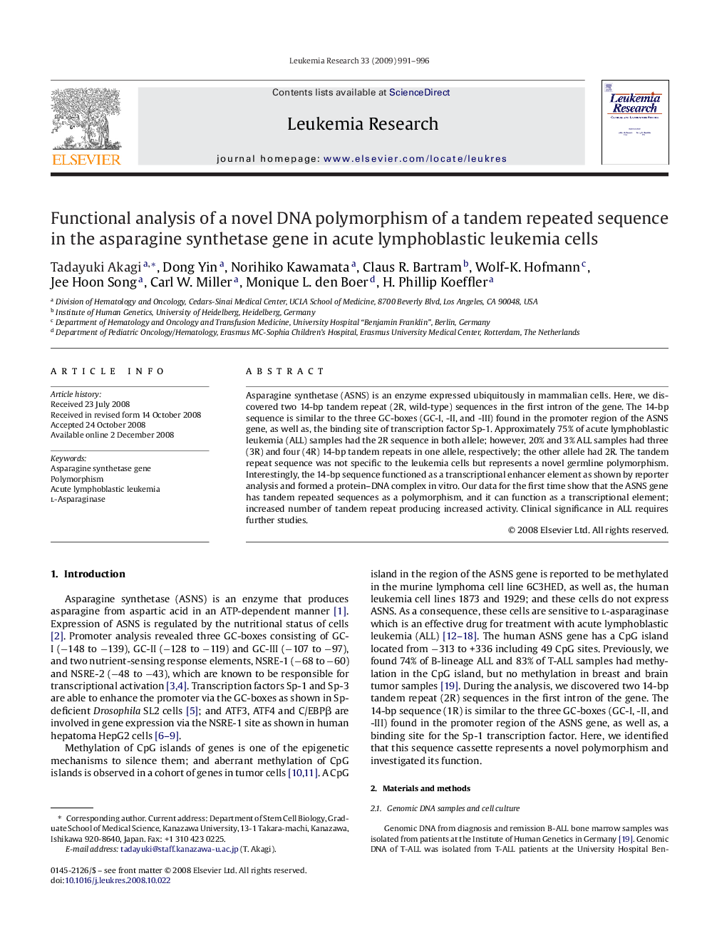 Functional analysis of a novel DNA polymorphism of a tandem repeated sequence in the asparagine synthetase gene in acute lymphoblastic leukemia cells