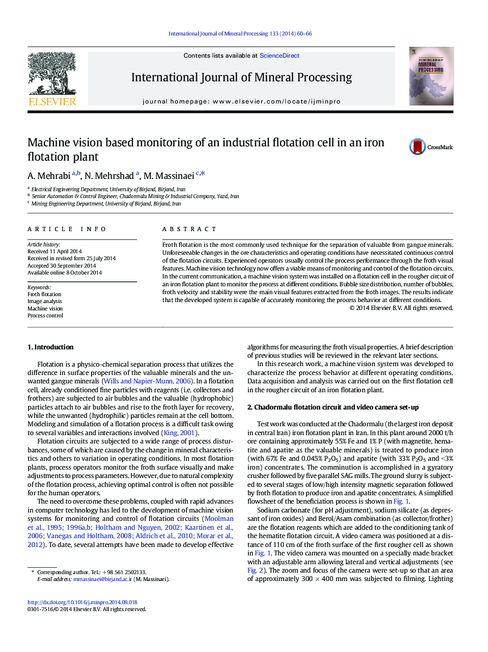 Machine vision based monitoring of an industrial flotation cell in an iron flotation plant