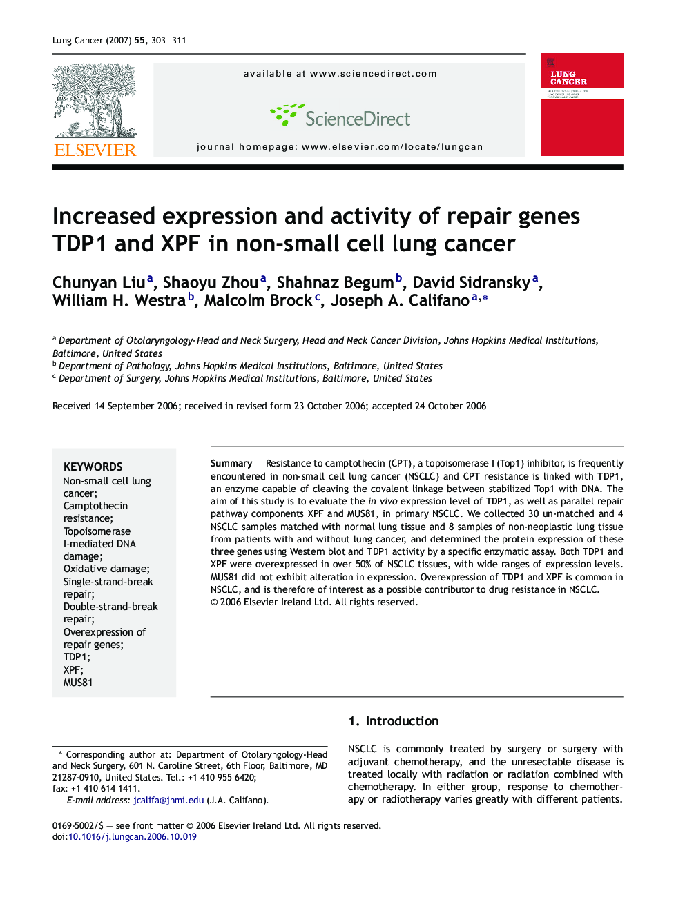 Increased expression and activity of repair genes TDP1 and XPF in non-small cell lung cancer