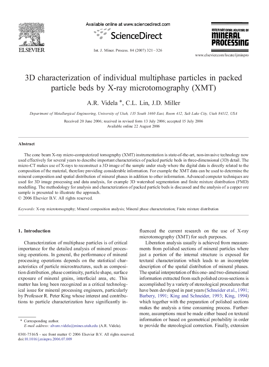 3D characterization of individual multiphase particles in packed particle beds by X-ray microtomography (XMT)