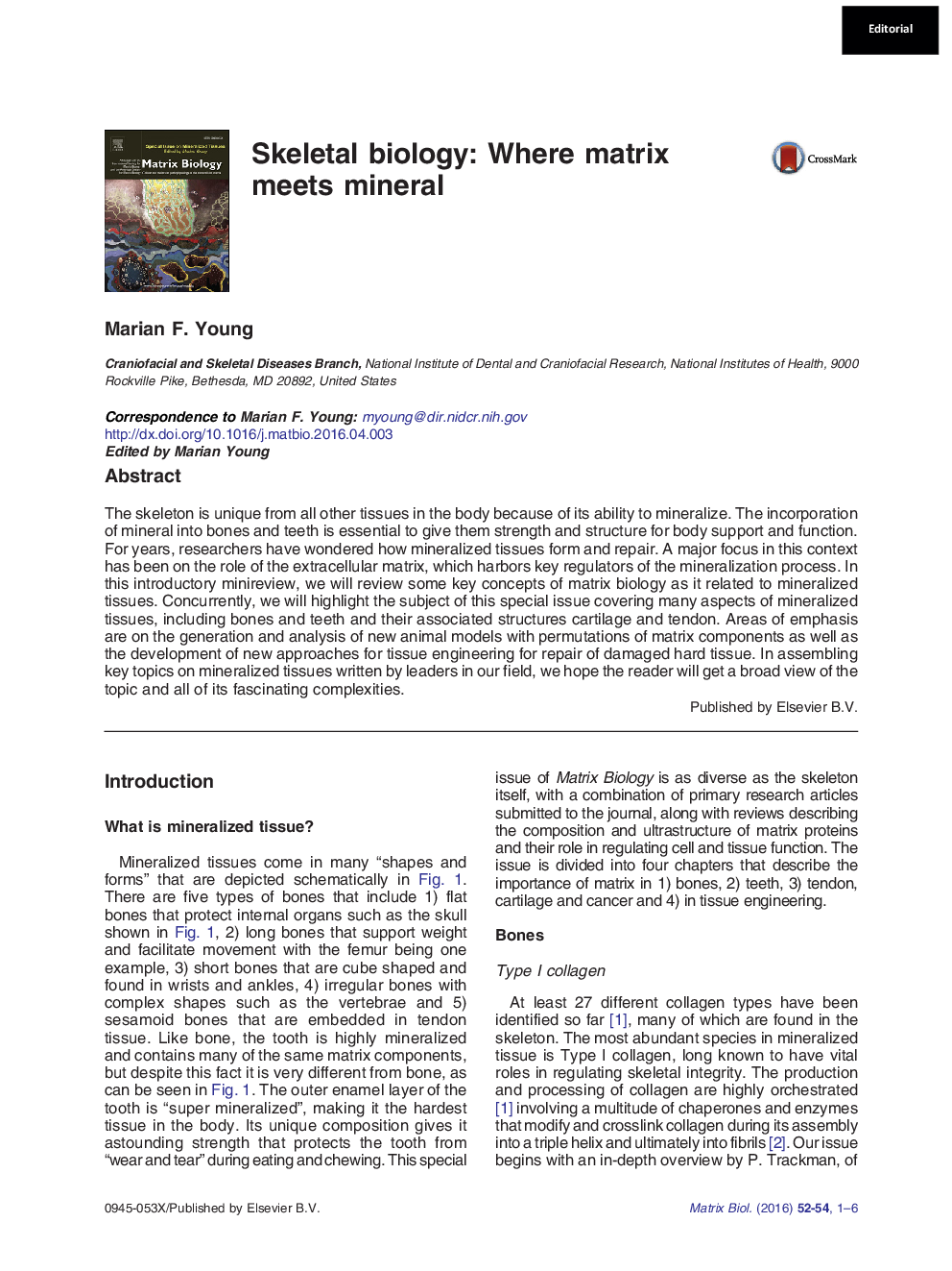 Skeletal biology: Where matrix meets mineral