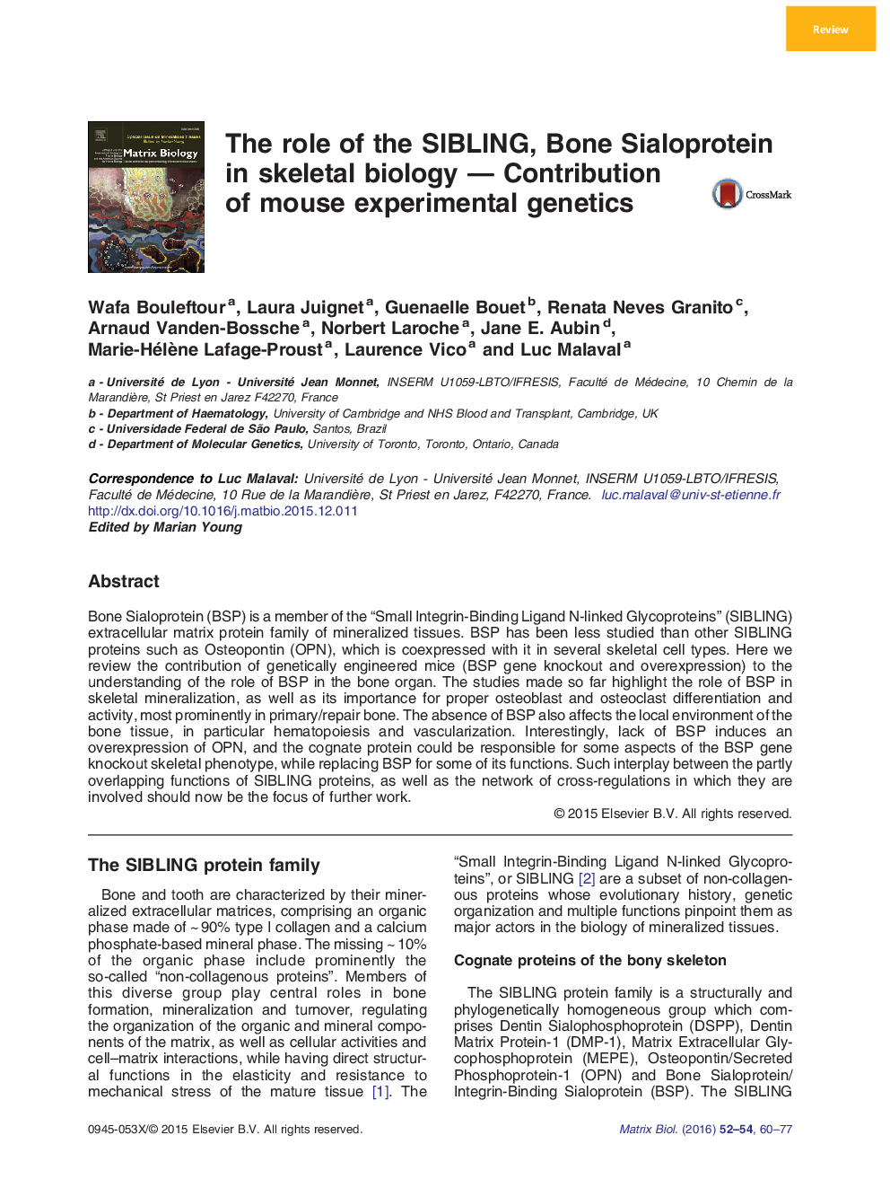 The role of the SIBLING, Bone Sialoprotein in skeletal biology — Contribution of mouse experimental genetics