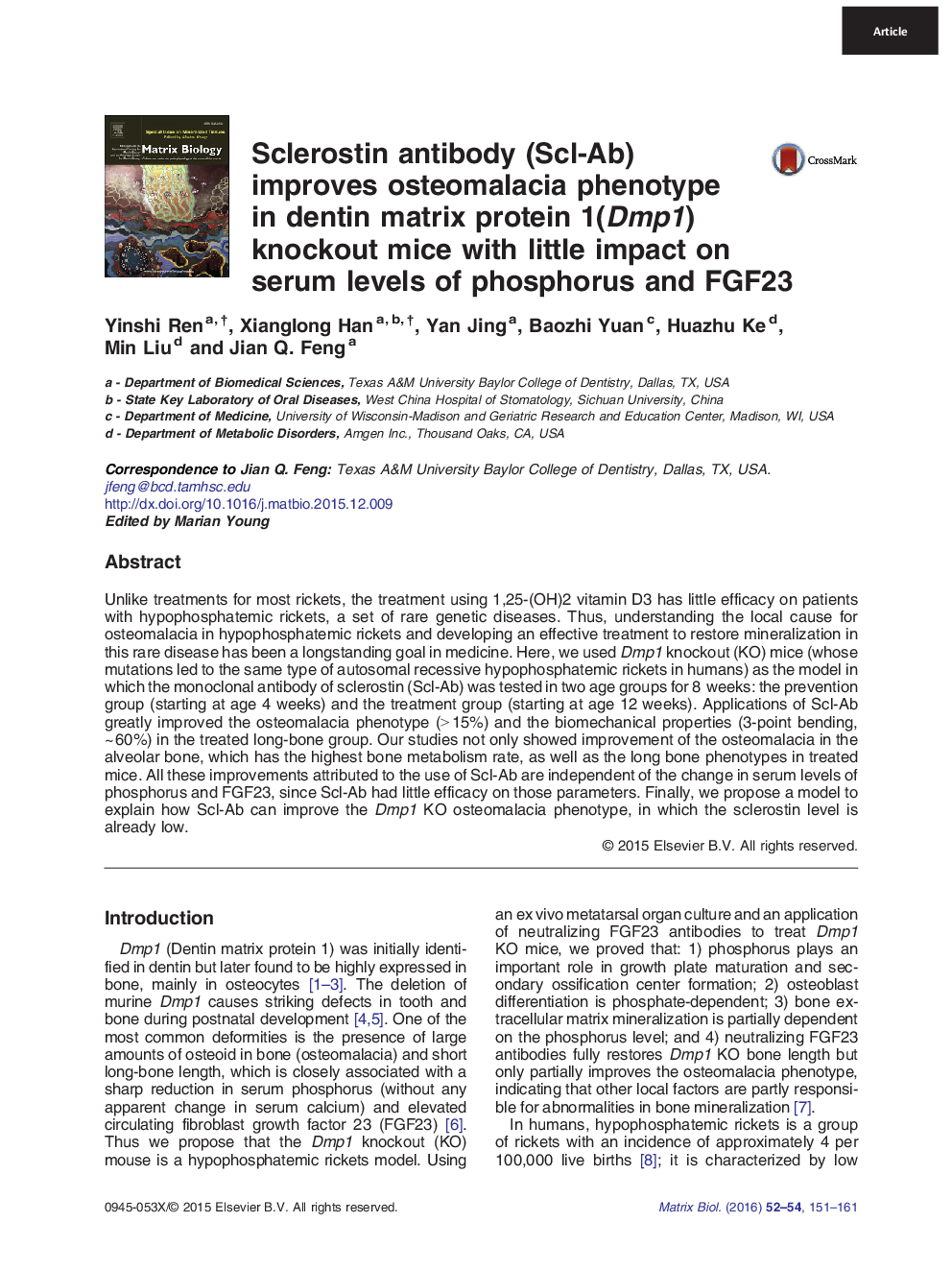 Sclerostin antibody (Scl-Ab) improves osteomalacia phenotype in dentin matrix protein 1(Dmp1) knockout mice with little impact on serum levels of phosphorus and FGF23