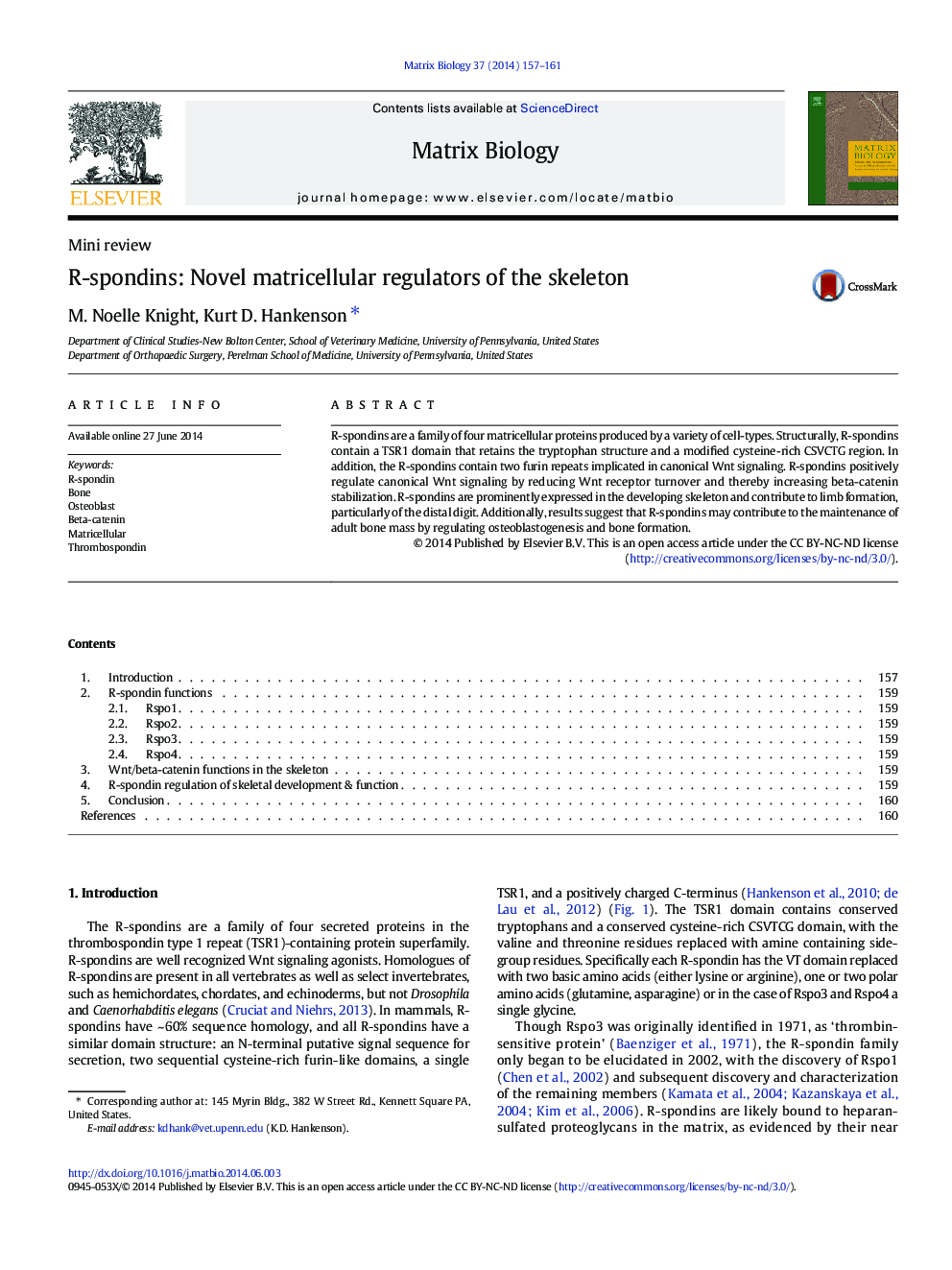 R-spondins: Novel matricellular regulators of the skeleton